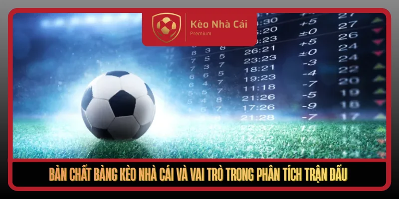 Bảng Kèo Nhà Cái Hôm Nay Đầy Đủ Rõ Ràng Dễ Theo Dõi 1 Ban Chat Bang Keo Nha Cai Va Vai Tro Trong Phan Tich Tran Dau