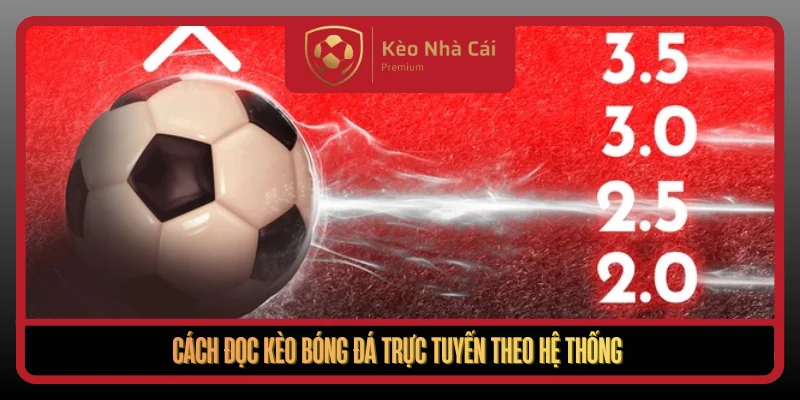 Cach Doc Keo Bong Da Truc Tuyen Theo He Thong